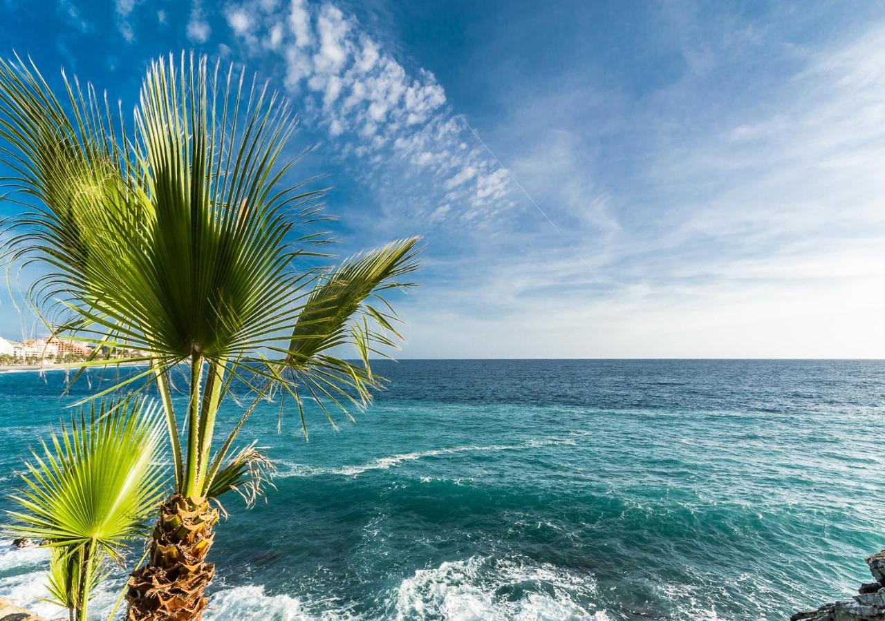Tropical 2*