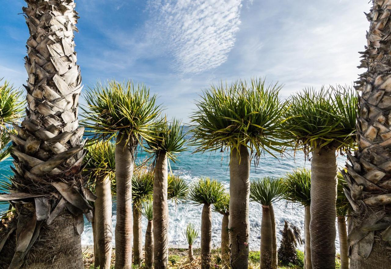 Tropical Gasthuis 2*