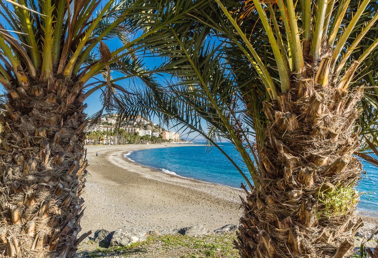 Gasthuis Tropical 2*